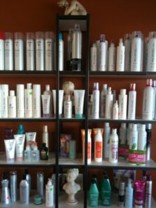 Hair Salon Palmharbor FL